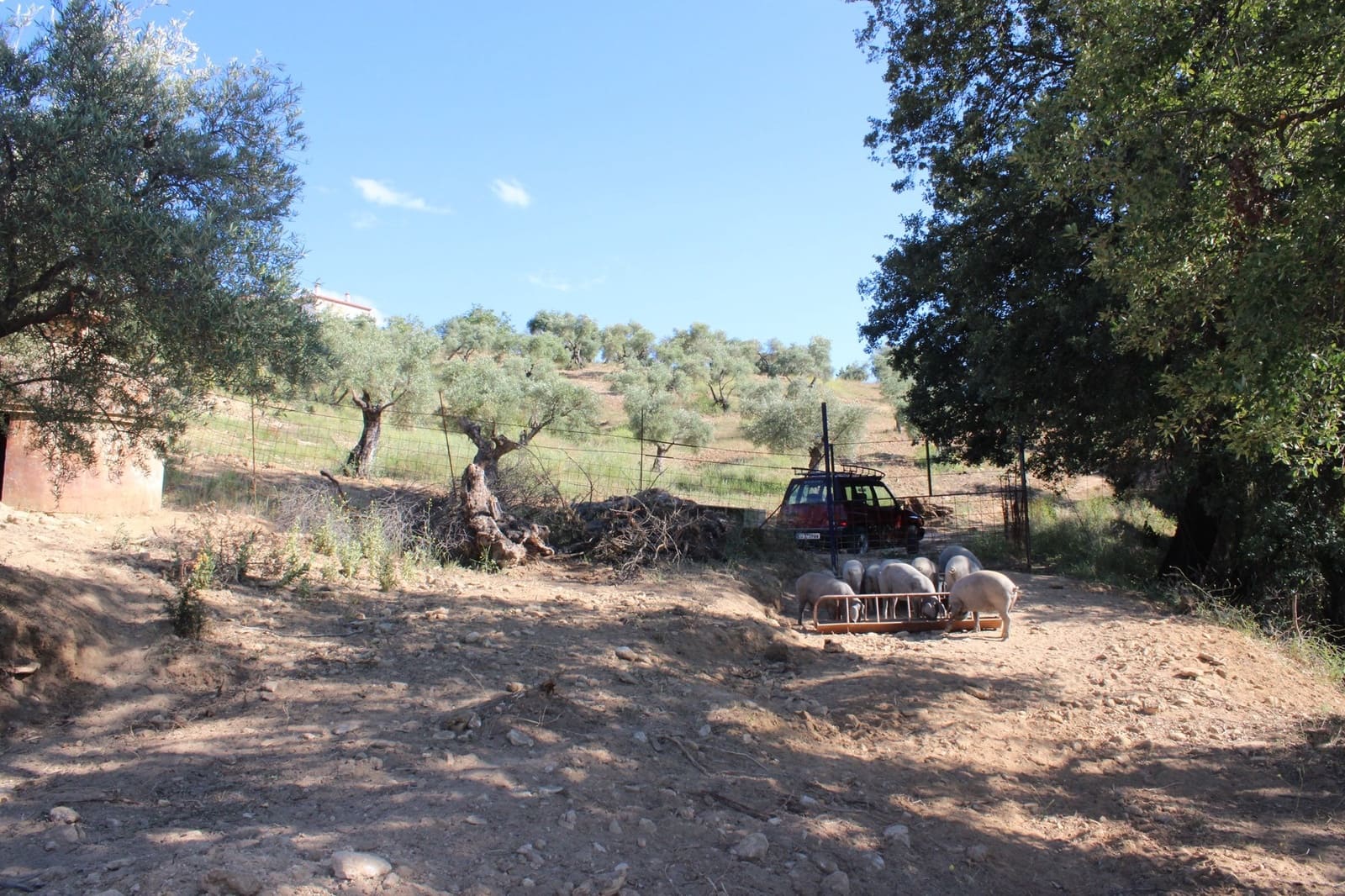 3 Zimmer Finca/Landgut zu verkaufen in Ronda mit Pool - 750.000 € (Ref: 8912310)