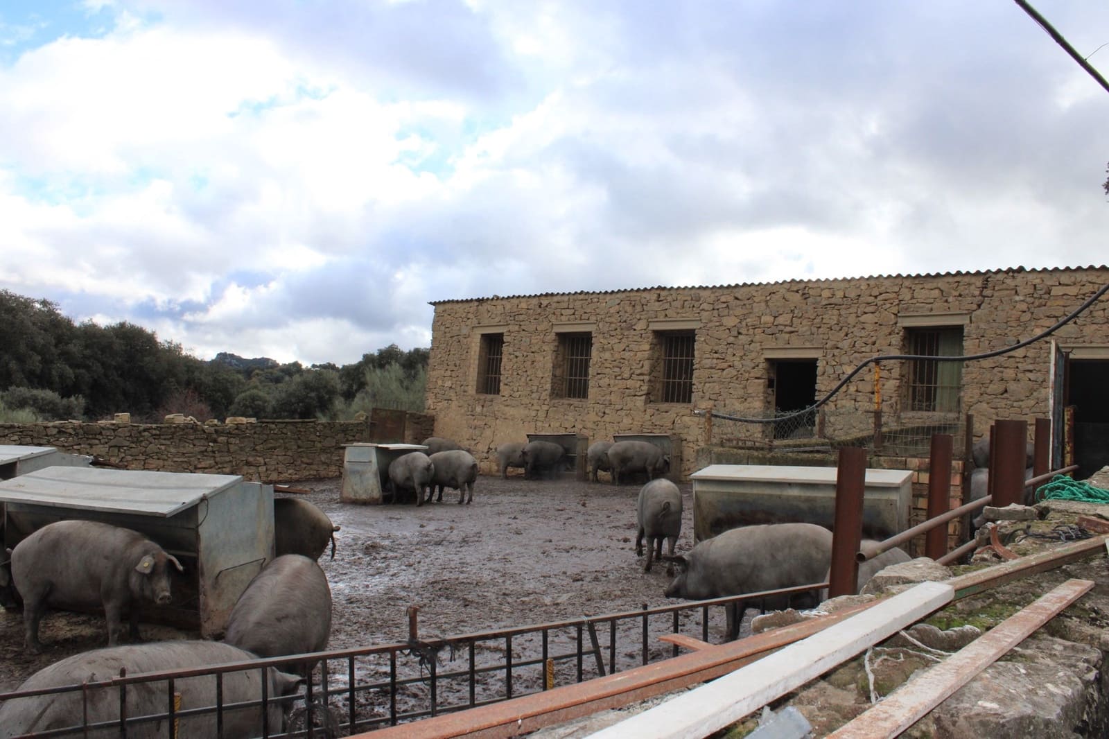 6 soverom Finca/Herregård til salgs i Montejaque med svømmebasseng - € 1 600 000 (Ref: 8912312)