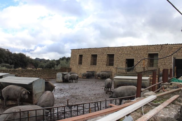 6 soveværelse Finca/Landehus til salg i Montejaque med swimmingpool - € 1.600.000 (Ref: 8912312)