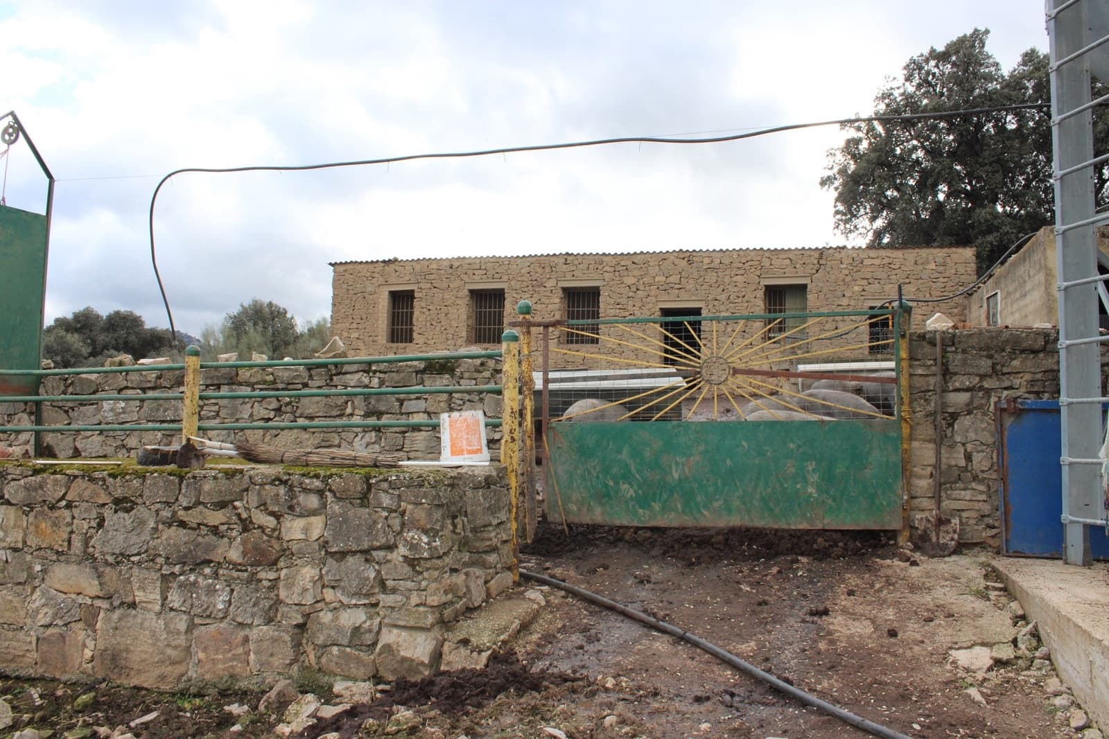 6 soverom Finca/Herregård til salgs i Montejaque med svømmebasseng - € 1 600 000 (Ref: 8912312)