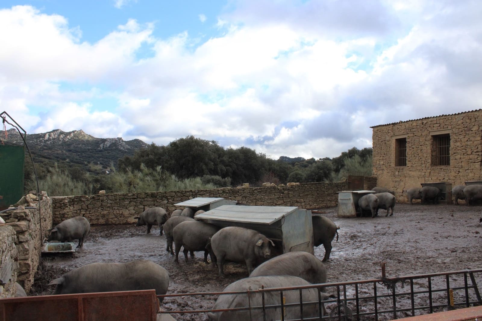 6 soverom Finca/Herregård til salgs i Montejaque med svømmebasseng - € 1 600 000 (Ref: 8912312)