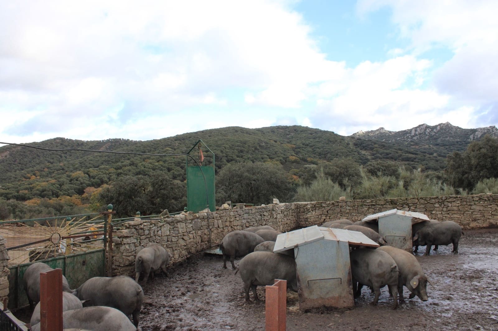 6 soverom Finca/Herregård til salgs i Montejaque med svømmebasseng - € 1 600 000 (Ref: 8912312)