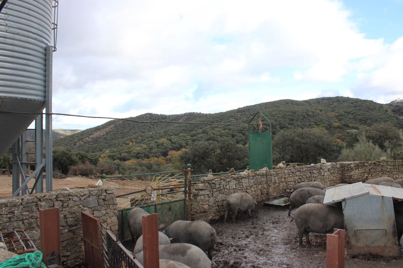 6 soverom Finca/Herregård til salgs i Montejaque med svømmebasseng - € 1 600 000 (Ref: 8912312)