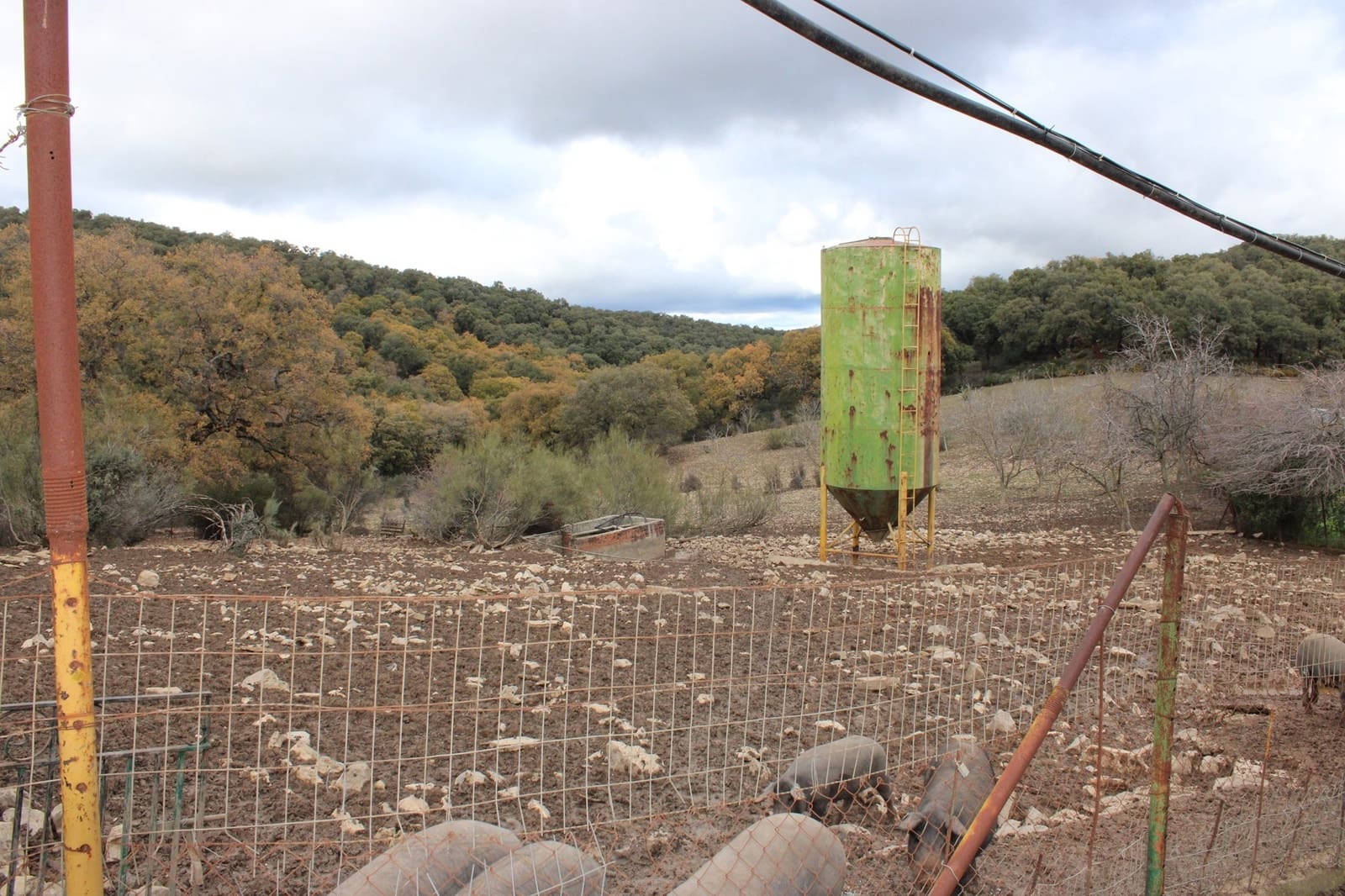 6 soverom Finca/Herregård til salgs i Montejaque med svømmebasseng - € 1 600 000 (Ref: 8912312)