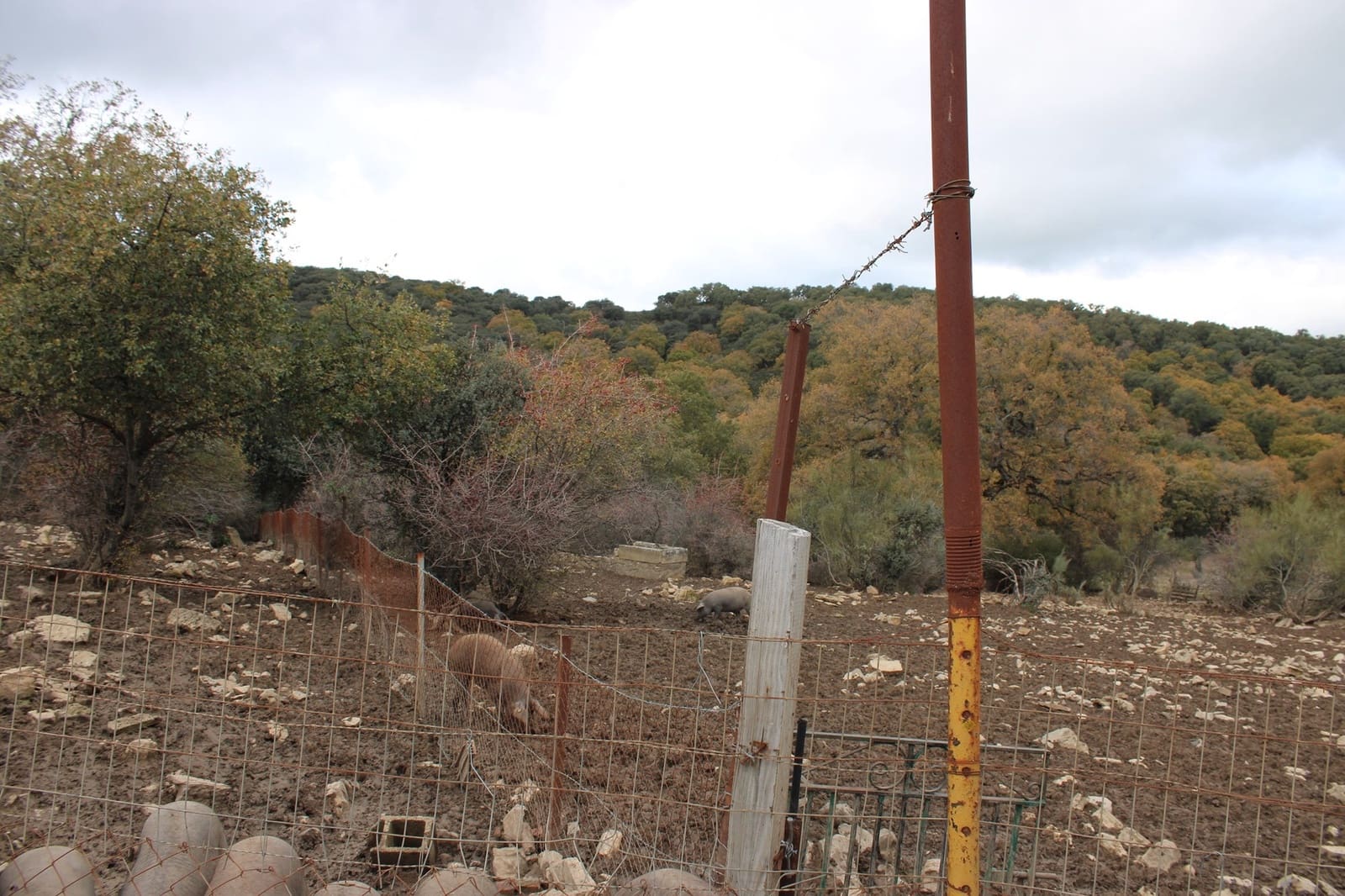 6 soverom Finca/Herregård til salgs i Montejaque med svømmebasseng - € 1 600 000 (Ref: 8912312)