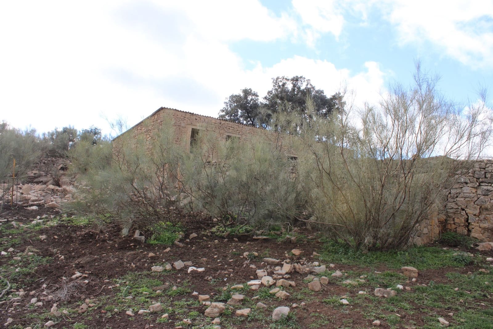 6 soverom Finca/Herregård til salgs i Montejaque med svømmebasseng - € 1 600 000 (Ref: 8912312)