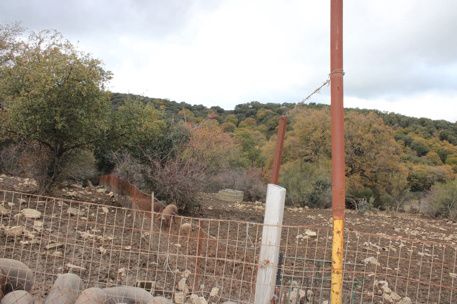 6 soverom Finca/Herregård til salgs i Montejaque med svømmebasseng - € 1 600 000 (Ref: 8912312)