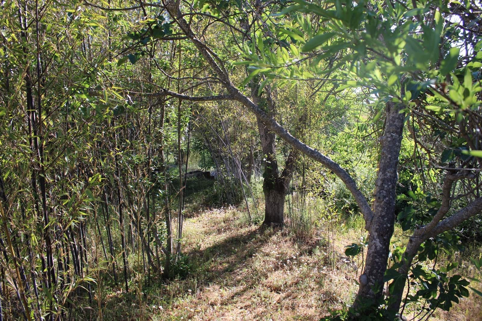 15 soveværelse Hotel til salg i Ronda med swimmingpool - € 1.350.000 (Ref: 8912313)