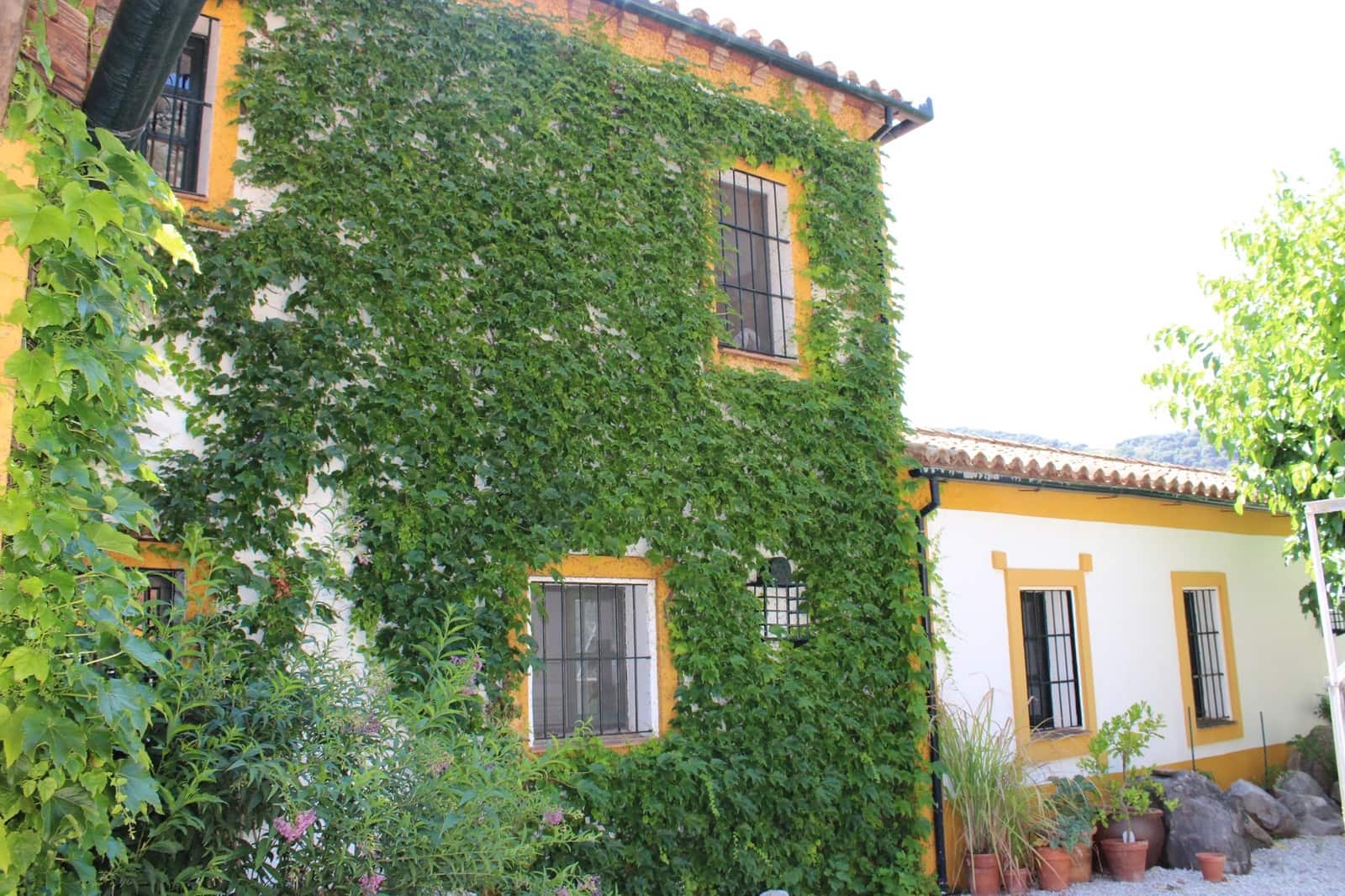 4 soveværelse Finca/Landehus til salg i Benaojan med swimmingpool - € 3.200.000 (Ref: 8912314)