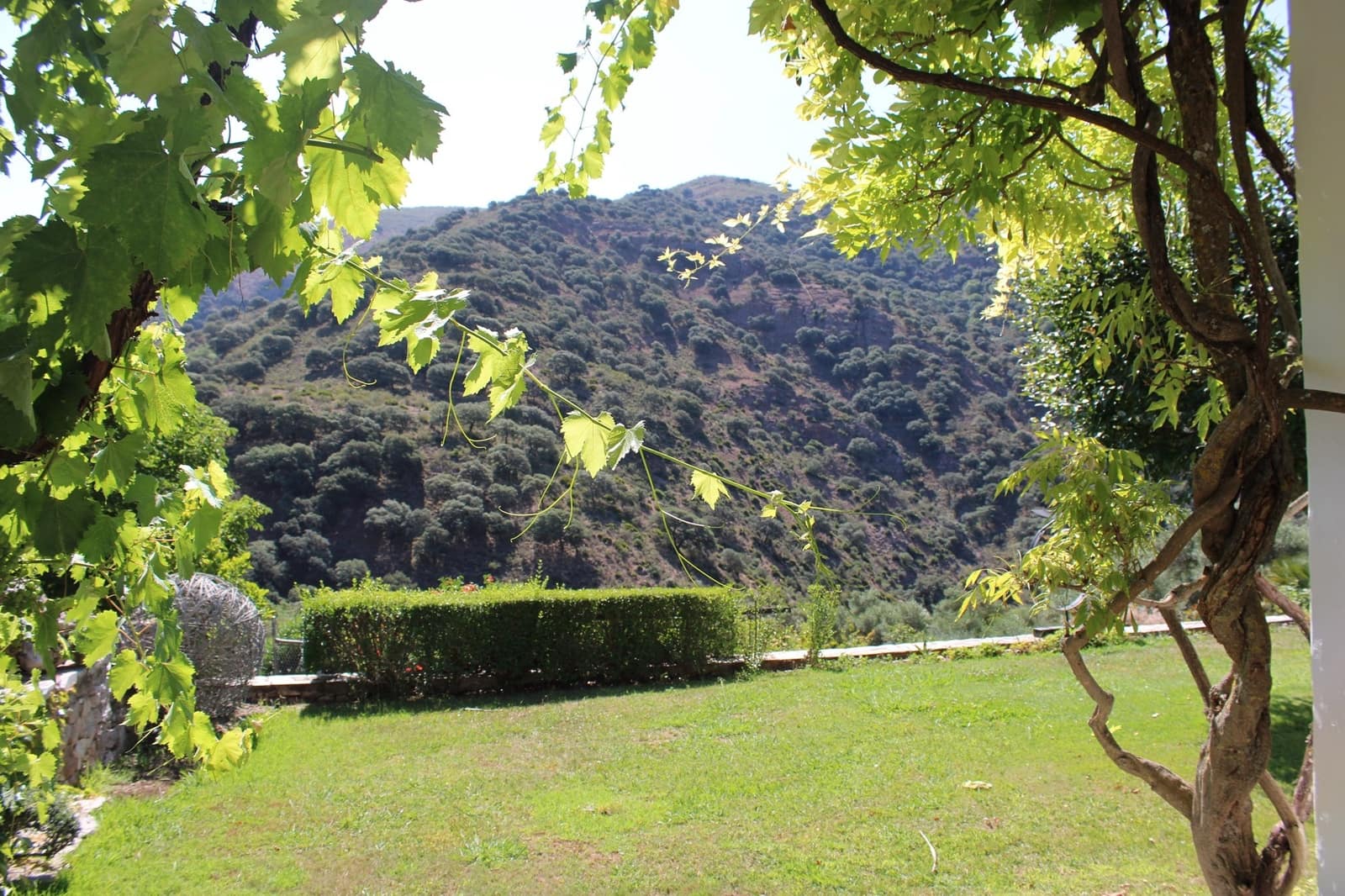 4 soveværelse Finca/Landehus til salg i Benaojan med swimmingpool - € 3.200.000 (Ref: 8912314)