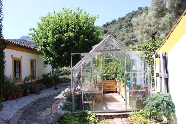 4 soveværelse Finca/Landehus til salg i Benaoján med swimmingpool - € 3.200.000 (Ref: 8912314)