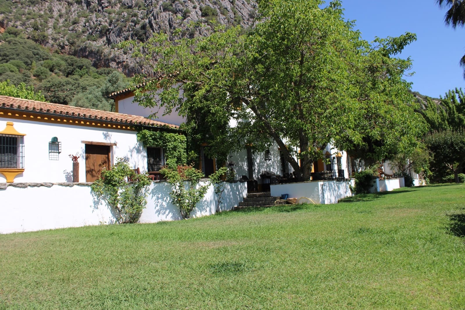 4 soveværelse Finca/Landehus til salg i Benaojan med swimmingpool - € 3.200.000 (Ref: 8912314)