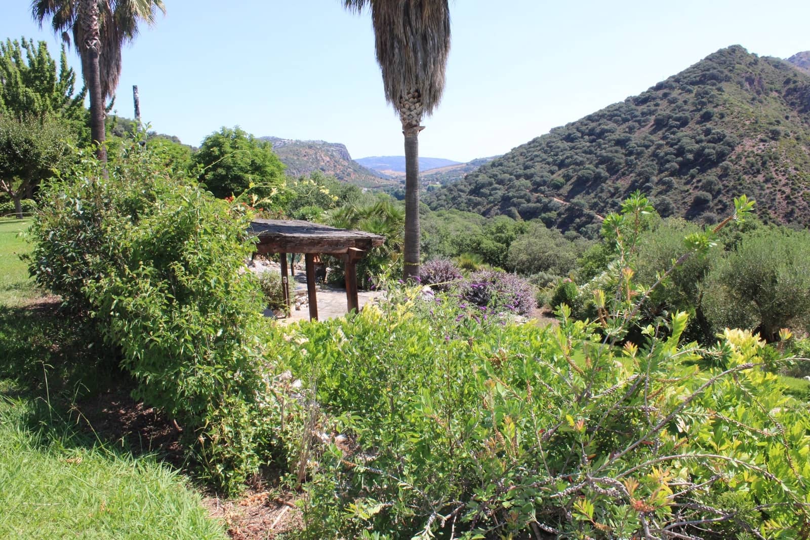 4 soveværelse Finca/Landehus til salg i Benaojan med swimmingpool - € 3.200.000 (Ref: 8912314)