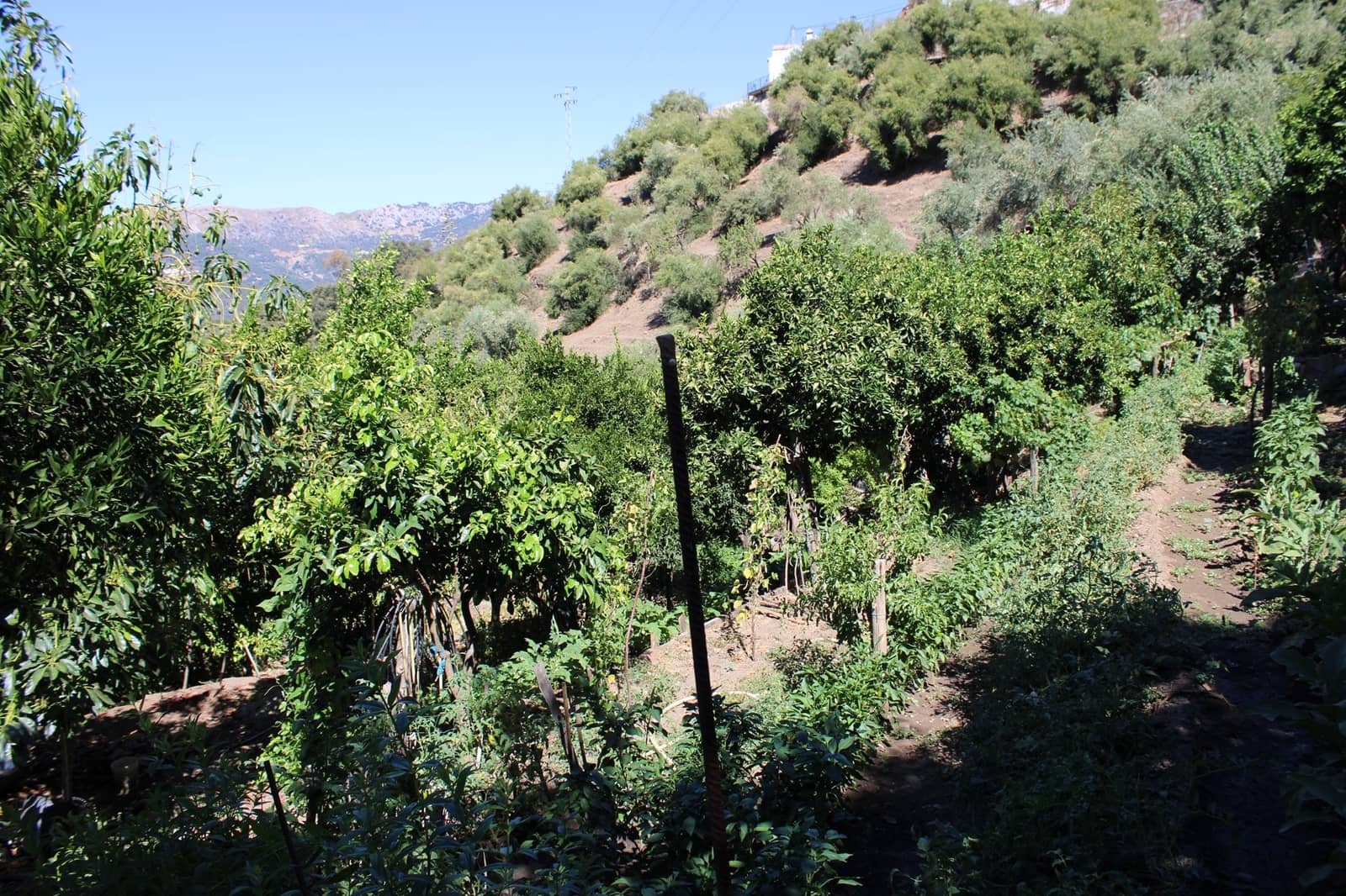 5 soveværelse Finca/Landehus til salg i Jubrique med swimmingpool - € 400.000 (Ref: 8916722)