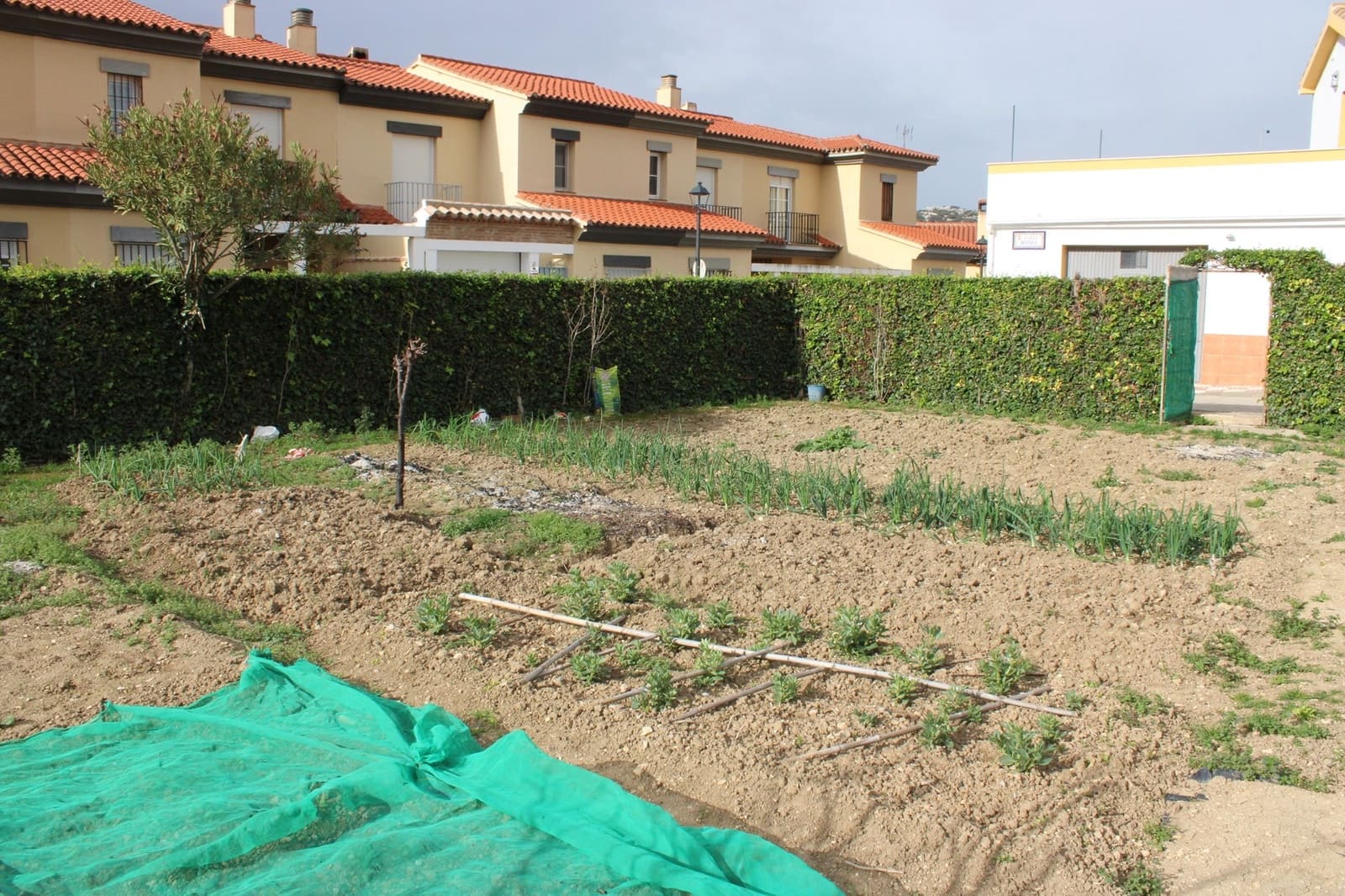 Działka budowlana na sprzedaż w Cuevas del Becerro - 80 000 € (Ref: 8920156)