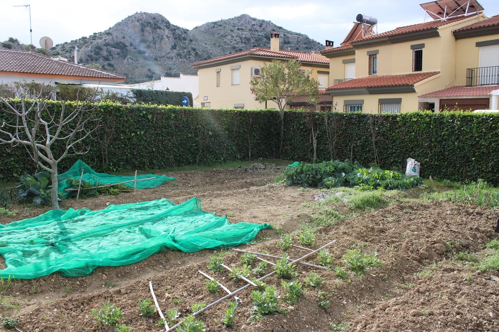 Działka budowlana na sprzedaż w Cuevas del Becerro - 80 000 € (Ref: 8920156)