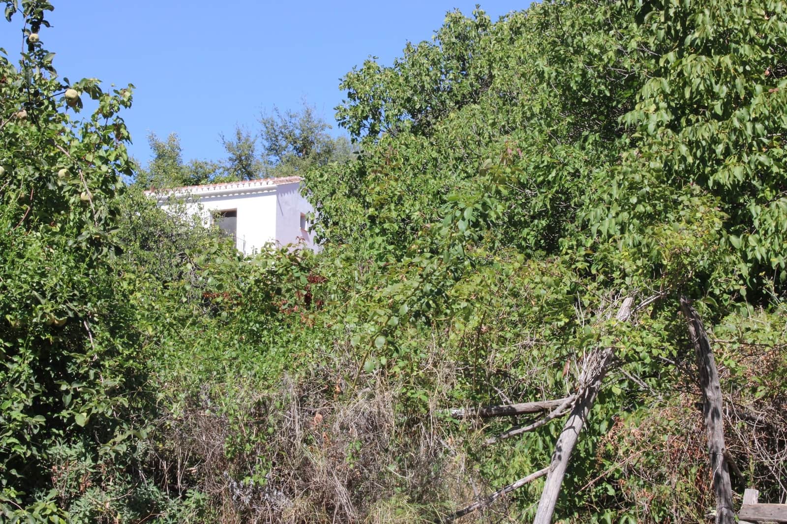 3 soveværelse Finca/Landehus til salg i Juzcar - € 299.000 (Ref: 8929353)