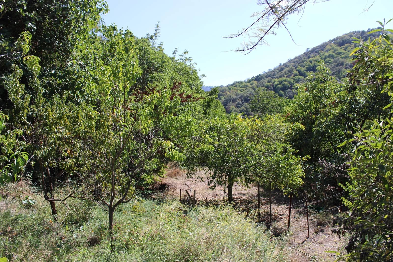 3 soveværelse Finca/Landehus til salg i Juzcar - € 299.000 (Ref: 8929353)