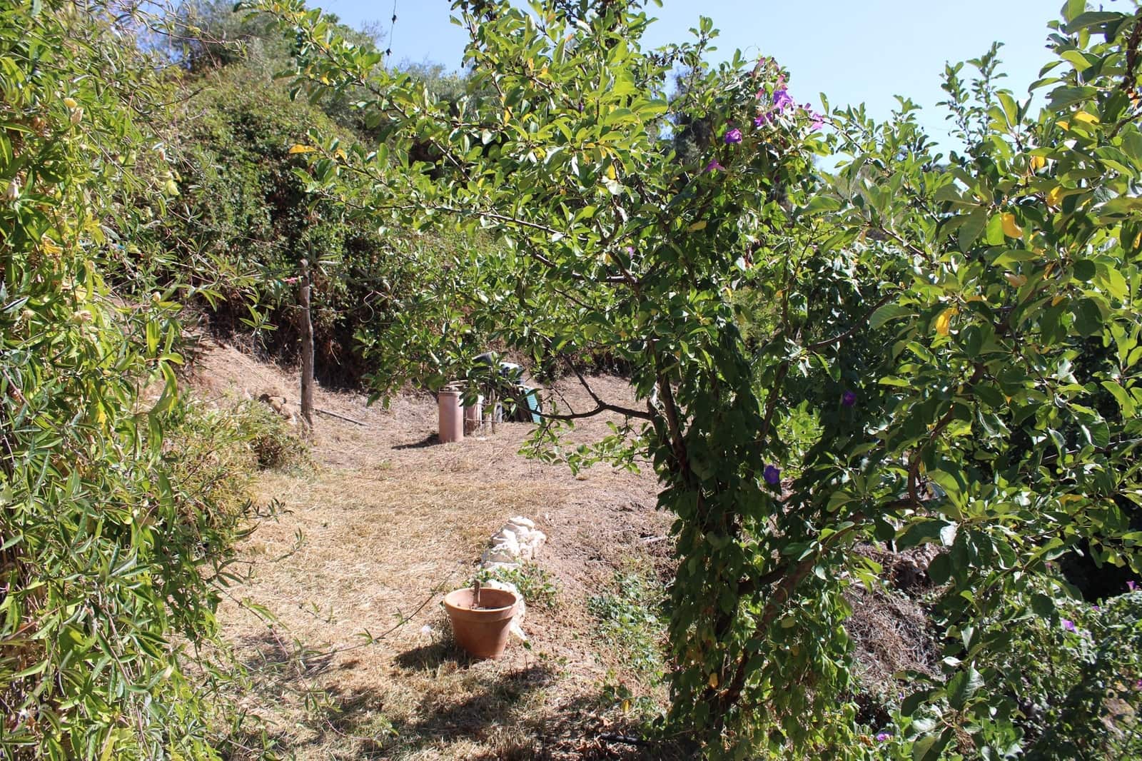 3 soveværelse Finca/Landehus til salg i Juzcar - € 299.000 (Ref: 8929353)