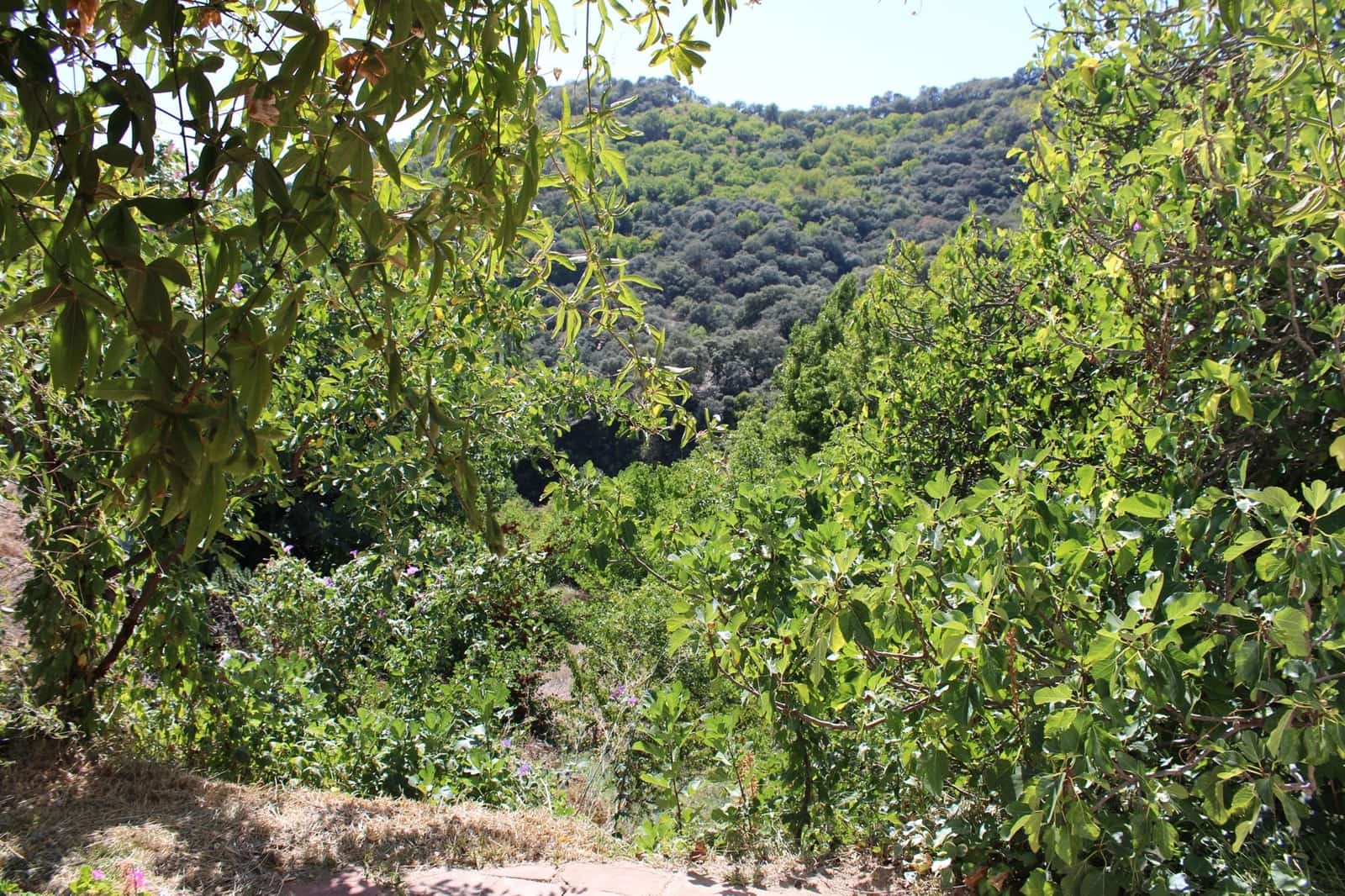 3 soveværelse Finca/Landehus til salg i Juzcar - € 299.000 (Ref: 8929353)