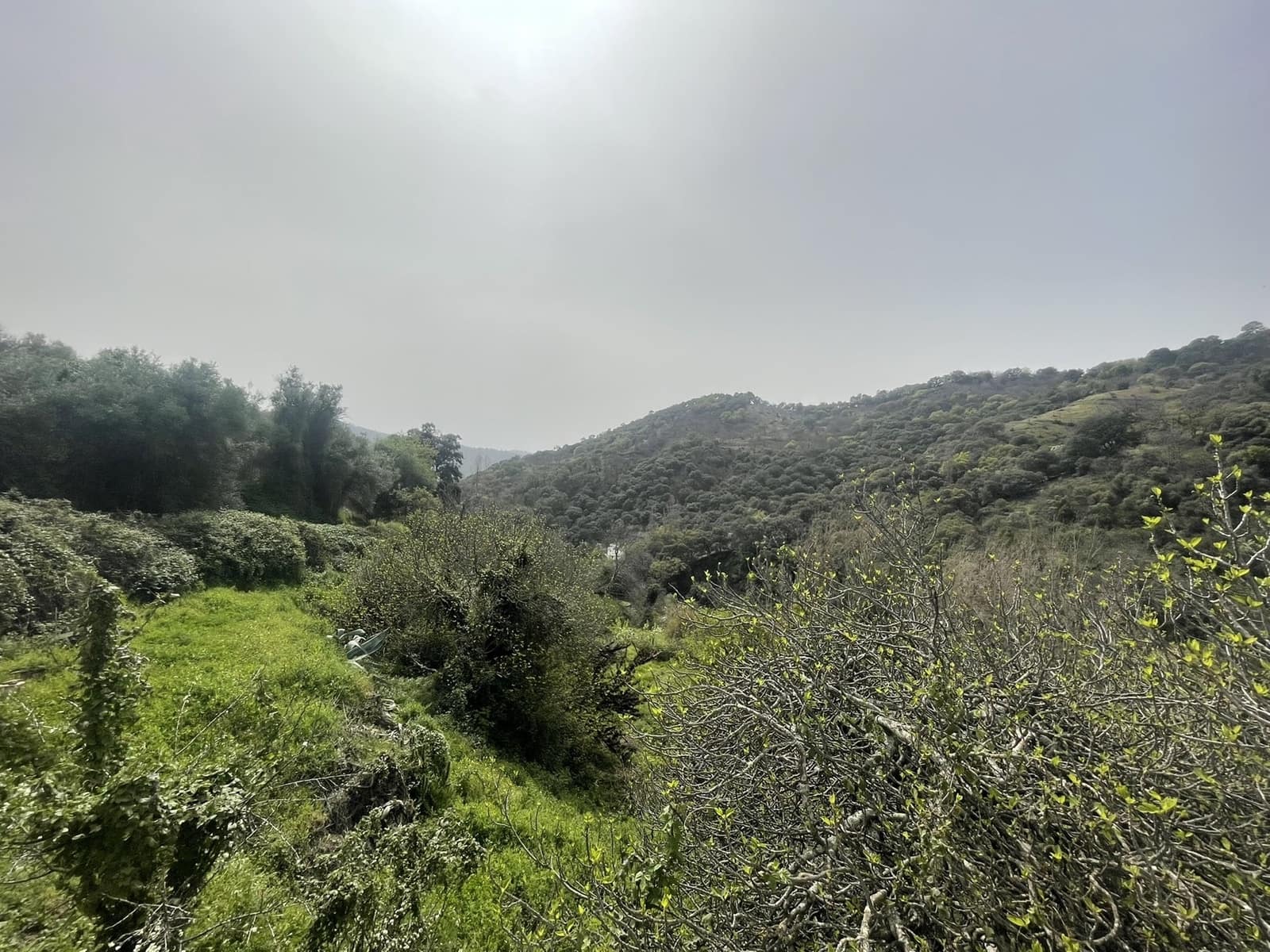 3 soveværelse Finca/Landehus til salg i Juzcar - € 299.000 (Ref: 8929353)