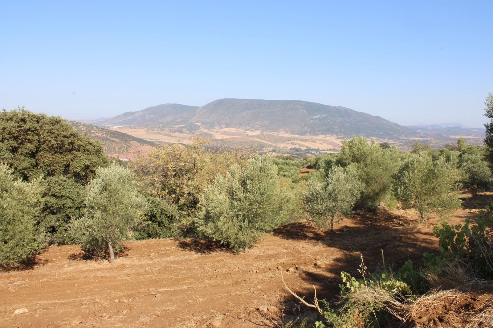 Terrain à Bâtir à vendre à El Gastor - 45 000 € (Ref: 8929484)