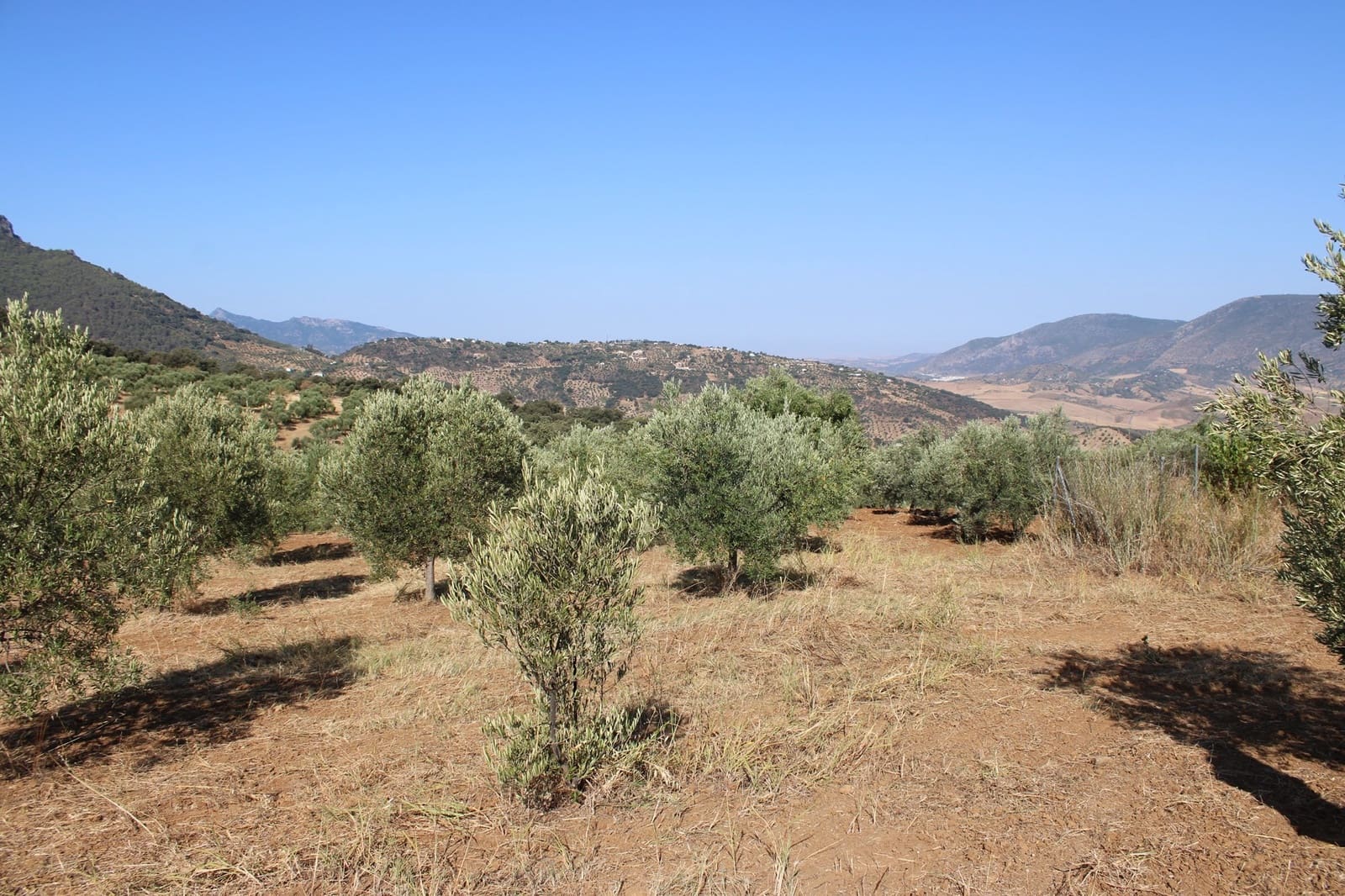 Terrain à Bâtir à vendre à El Gastor - 45 000 € (Ref: 8929484)