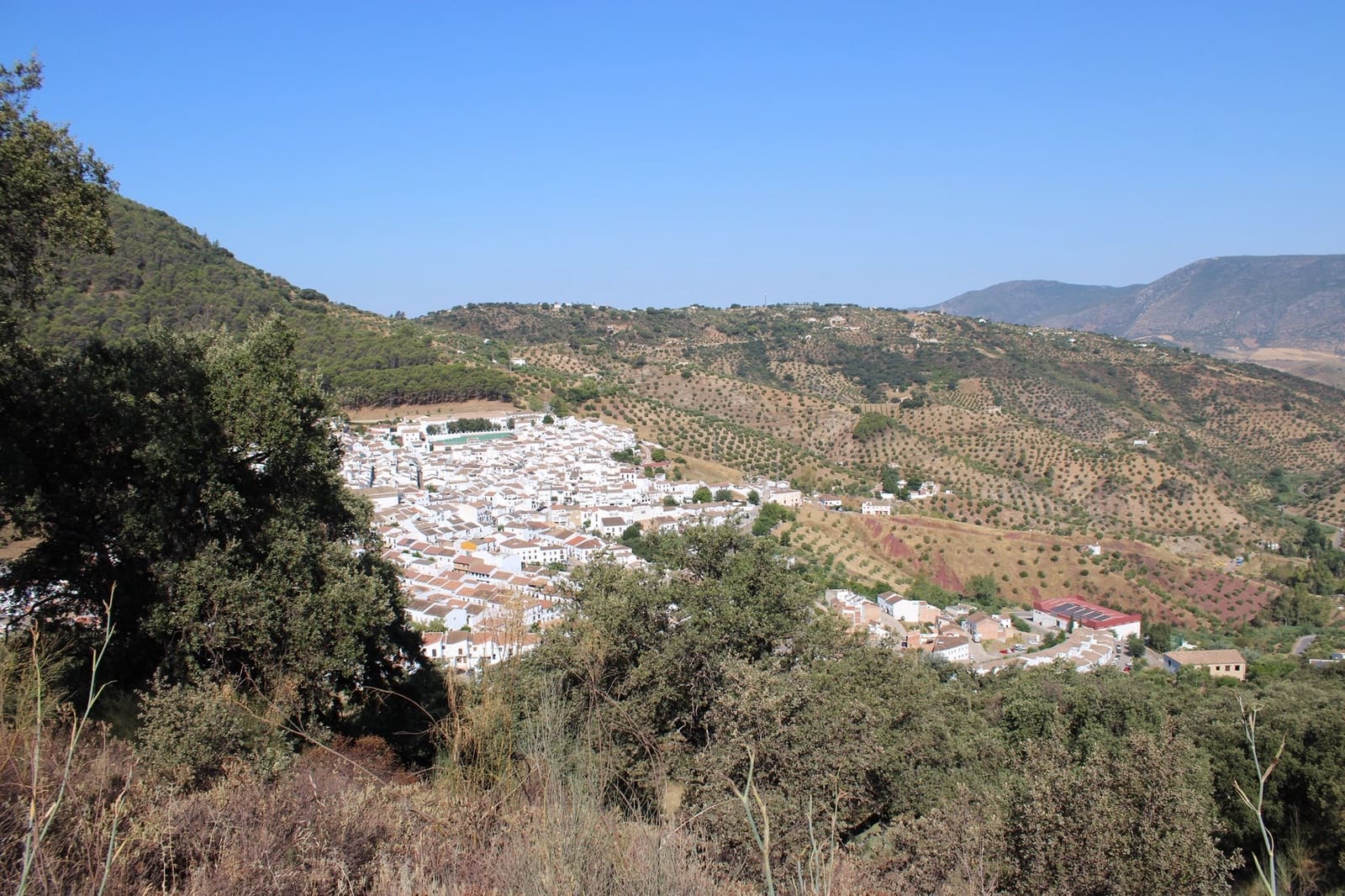 Terrain à Bâtir à vendre à El Gastor - 45 000 € (Ref: 8929484)