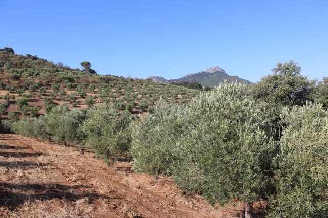 Building Plot for sale in El Gastor - € 45,000 (Ref: 8929484)