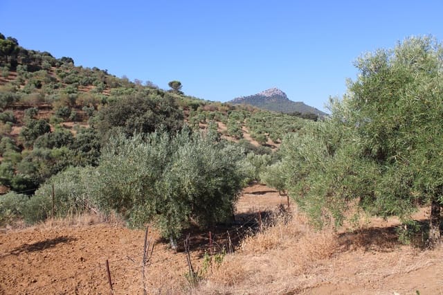 Building Plot for sale in El Gastor - € 45,000 (Ref: 8929484)