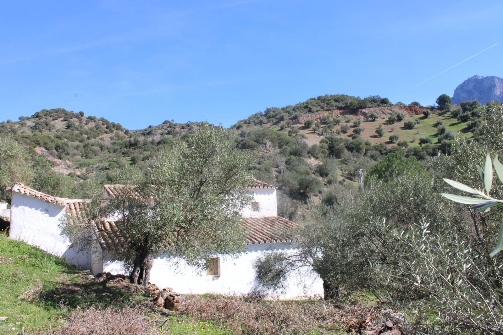 3 soverom Finca/Herregård til salgs i El Gastor med svømmebasseng - € 250 000 (Ref: 8940180)