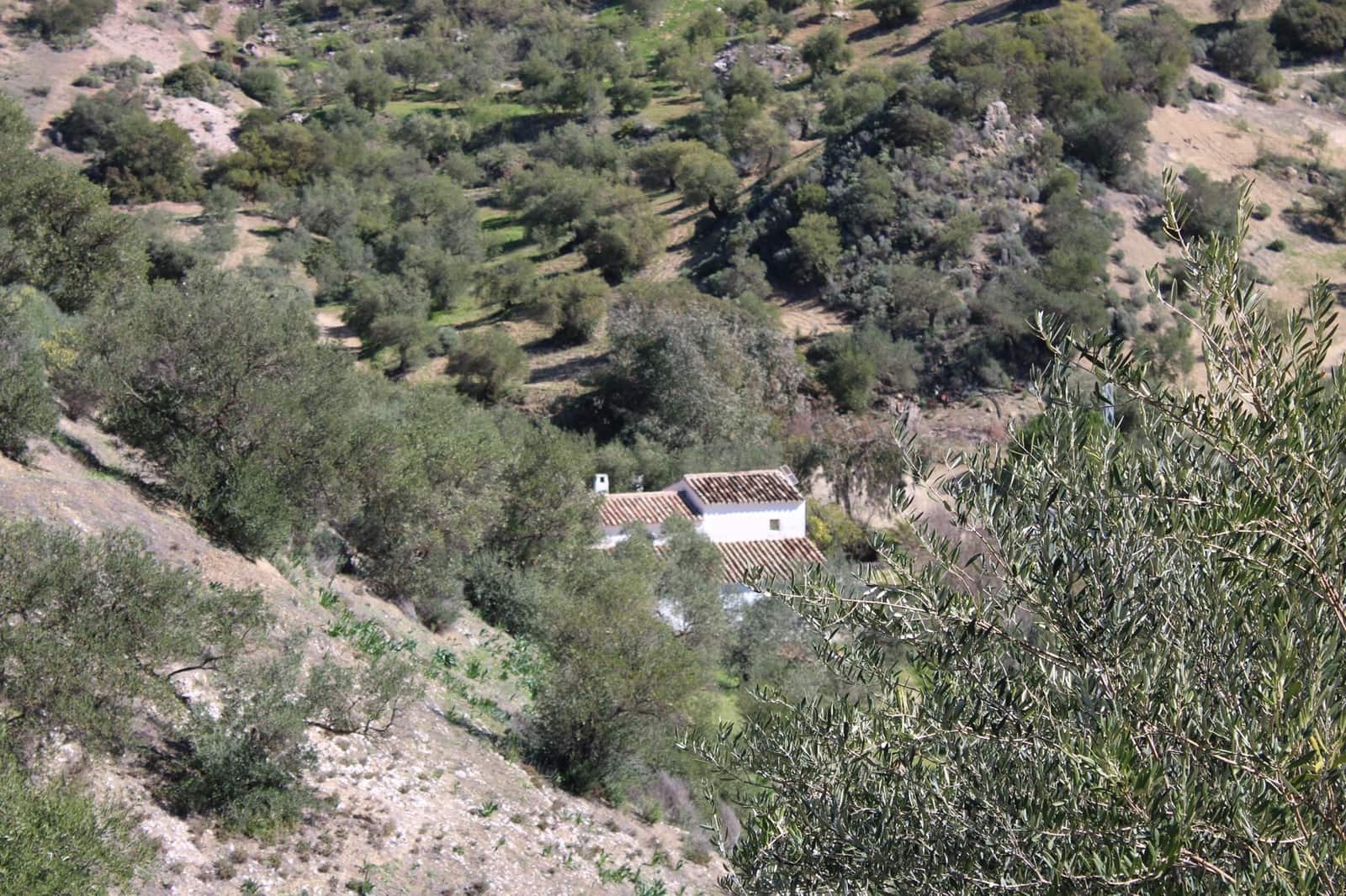 3 soverom Finca/Herregård til salgs i El Gastor med svømmebasseng - € 250 000 (Ref: 8940180)