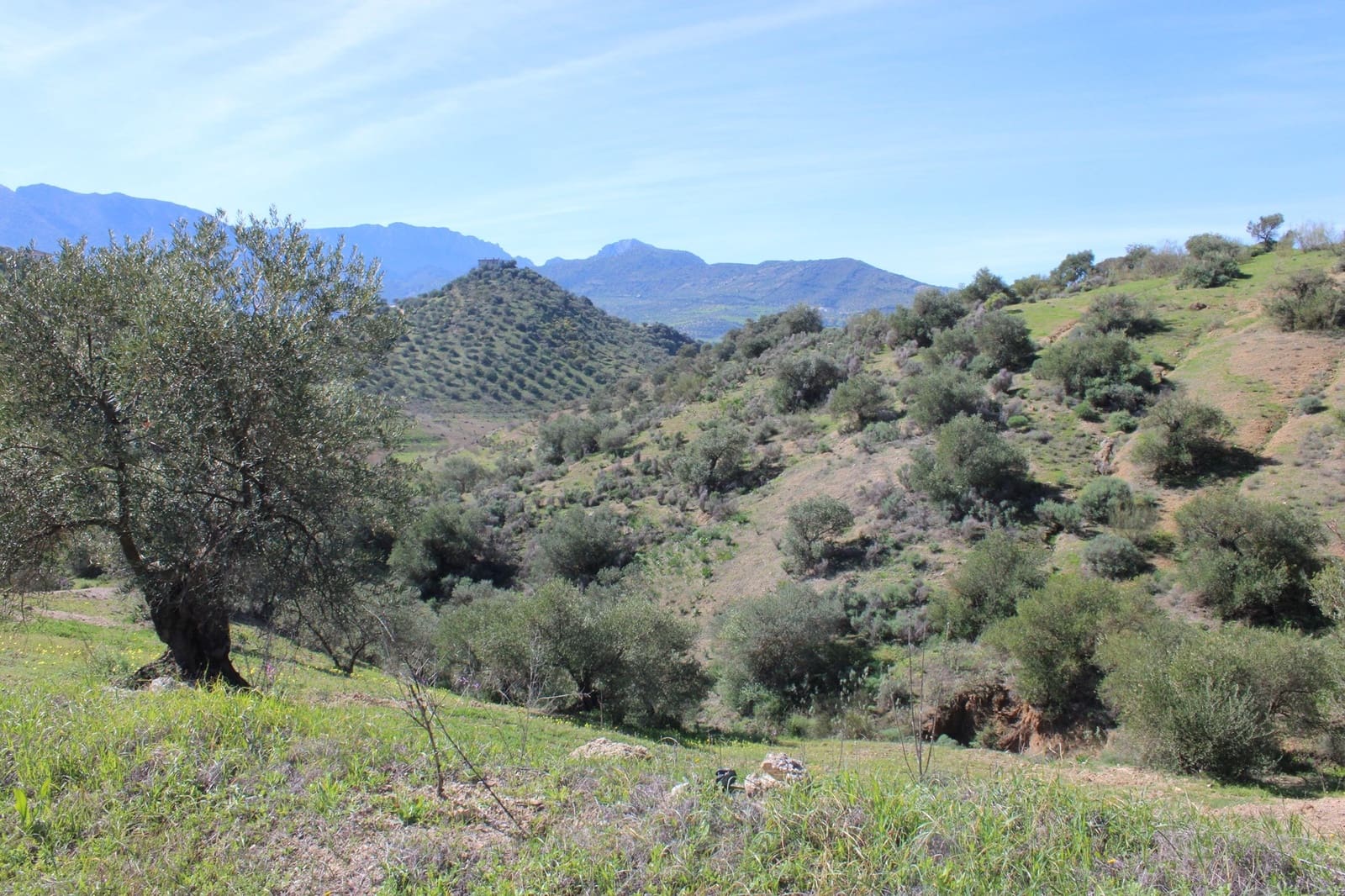 3 soverom Finca/Herregård til salgs i El Gastor med svømmebasseng - € 250 000 (Ref: 8940180)