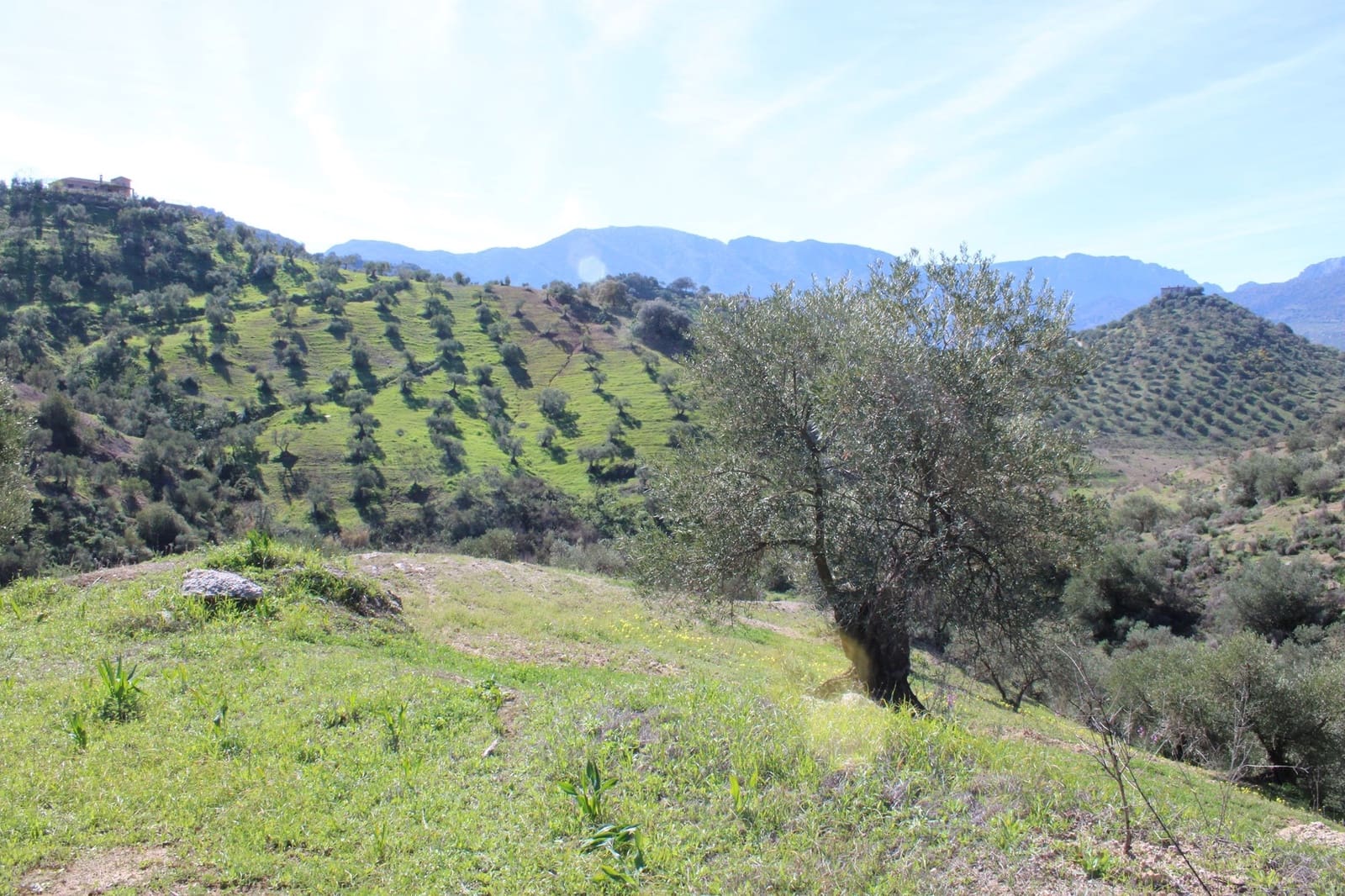 3 soverom Finca/Herregård til salgs i El Gastor med svømmebasseng - € 250 000 (Ref: 8940180)