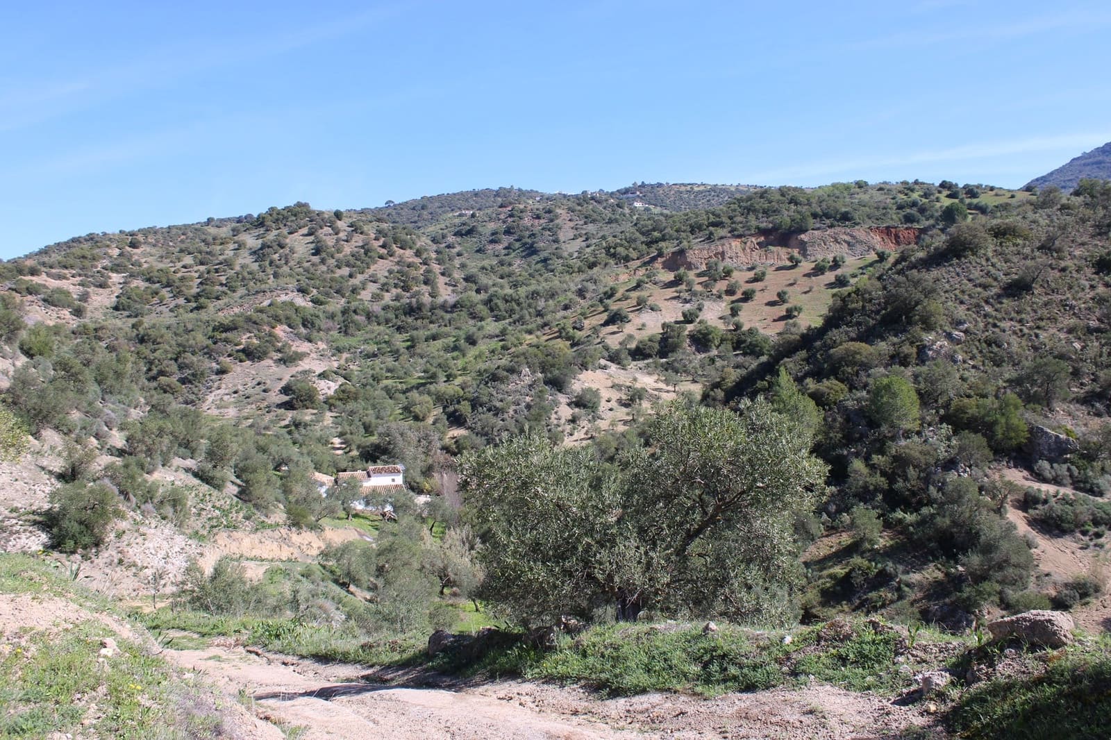 3 soverom Finca/Herregård til salgs i El Gastor med svømmebasseng - € 250 000 (Ref: 8940180)