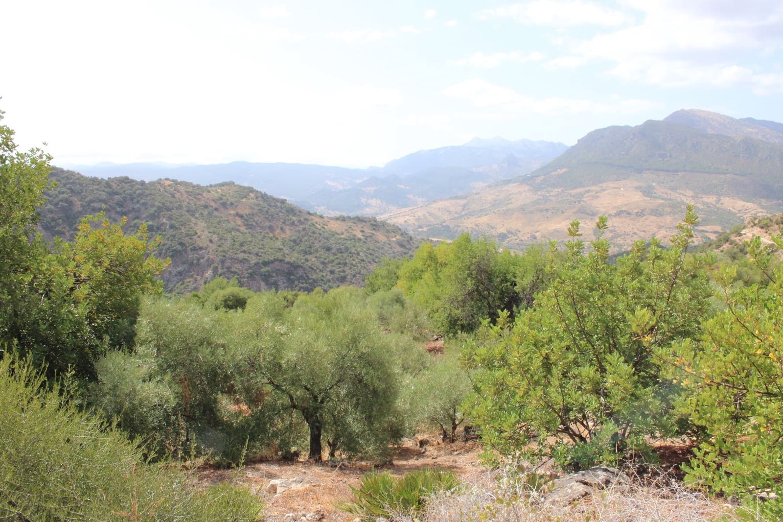 2 soveværelse Finca/Landehus til salg i El Gastor - € 160.000 (Ref: 8940181)