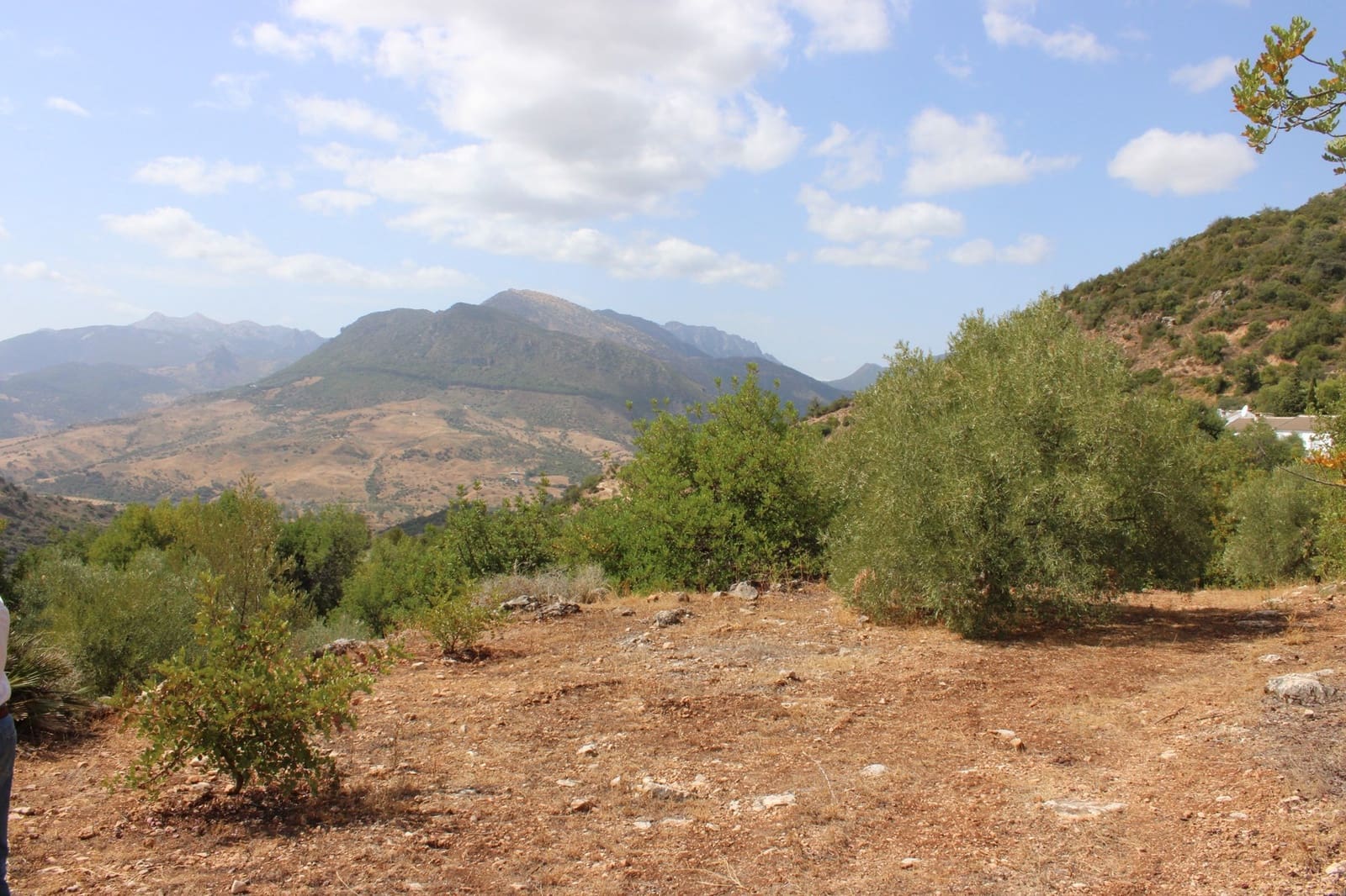 2 soveværelse Finca/Landehus til salg i El Gastor - € 160.000 (Ref: 8940181)