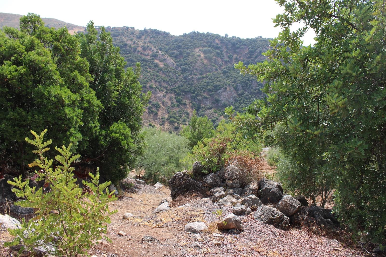 2 soveværelse Finca/Landehus til salg i El Gastor - € 160.000 (Ref: 8940181)