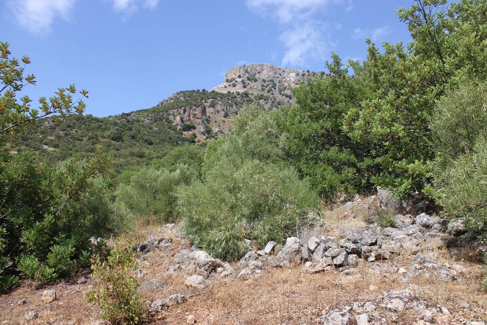 2 soveværelse Finca/Landehus til salg i El Gastor - € 160.000 (Ref: 8940181)