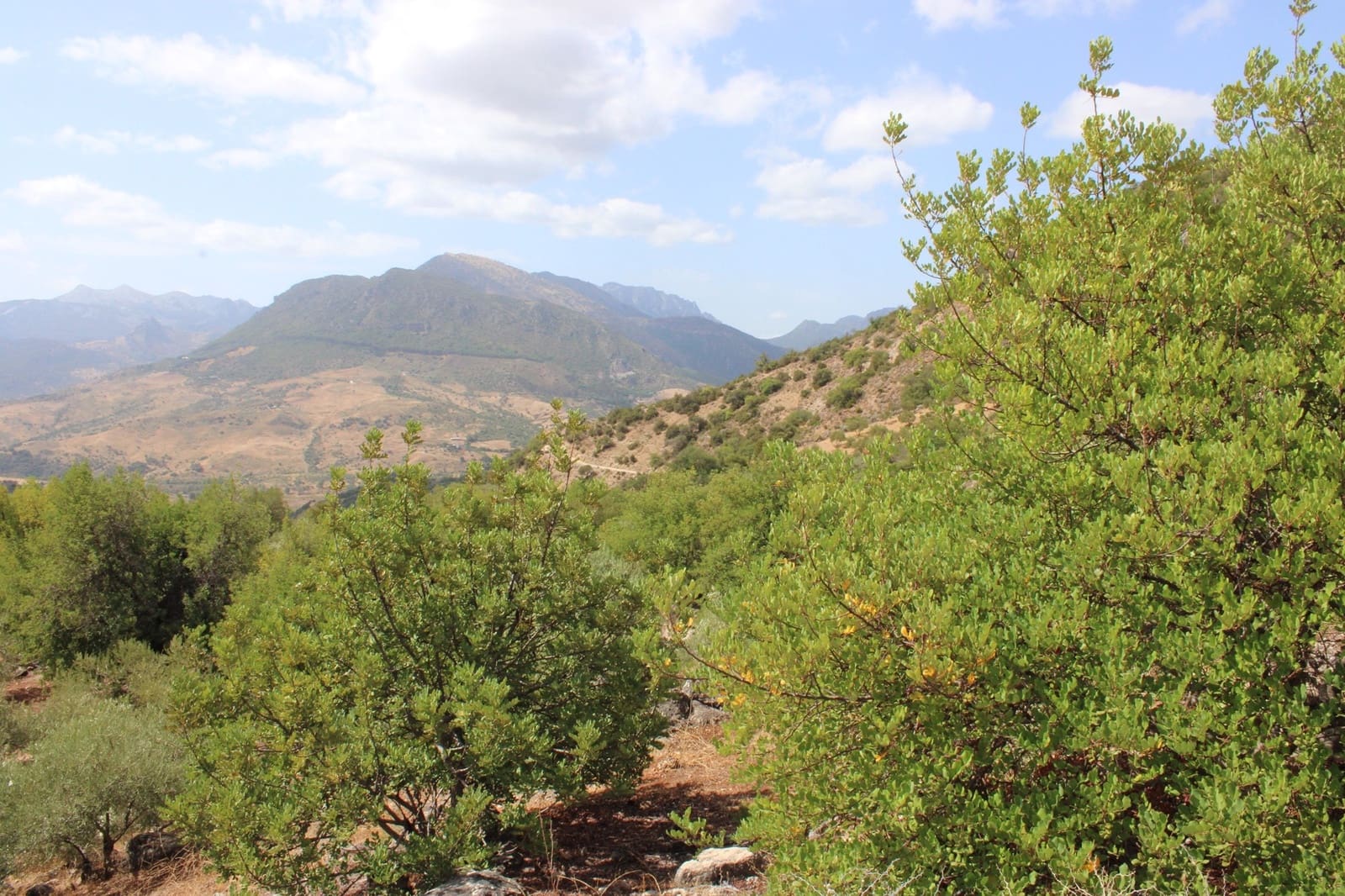 2 soveværelse Finca/Landehus til salg i El Gastor - € 160.000 (Ref: 8940181)