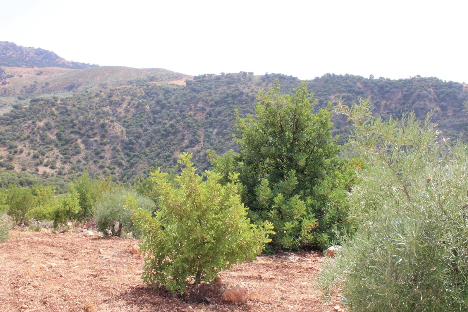 2 soveværelse Finca/Landehus til salg i El Gastor - € 160.000 (Ref: 8940181)