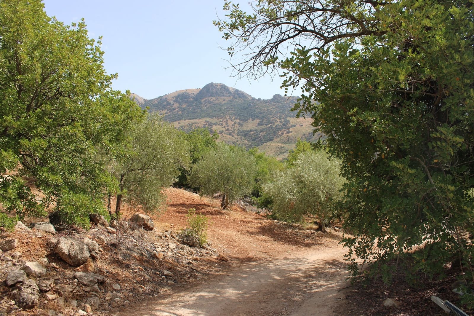 2 soveværelse Finca/Landehus til salg i El Gastor - € 160.000 (Ref: 8940181)