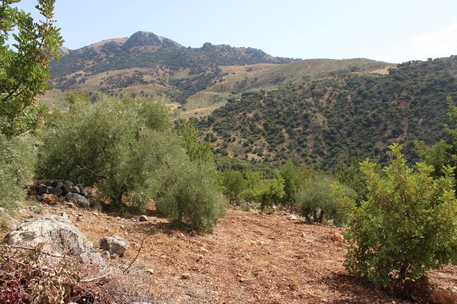 2 soveværelse Finca/Landehus til salg i El Gastor - € 160.000 (Ref: 8940181)