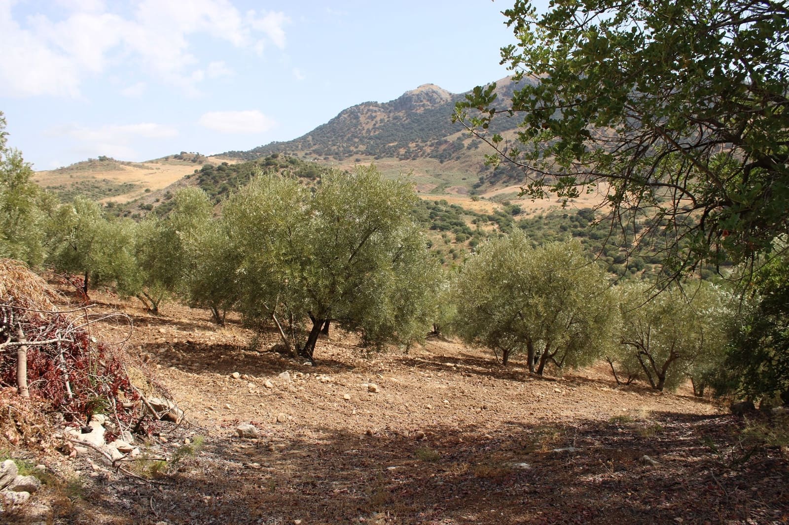 2 soveværelse Finca/Landehus til salg i El Gastor - € 160.000 (Ref: 8940181)