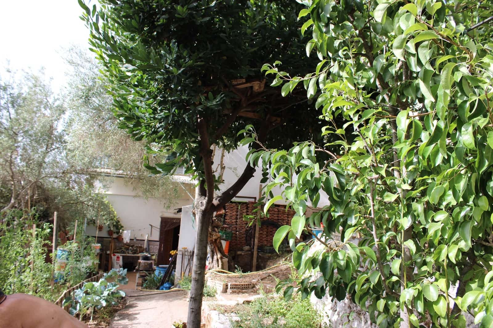 4 soveværelse Finca/Landehus til salg i Benaojan - € 165.000 (Ref: 8940190)