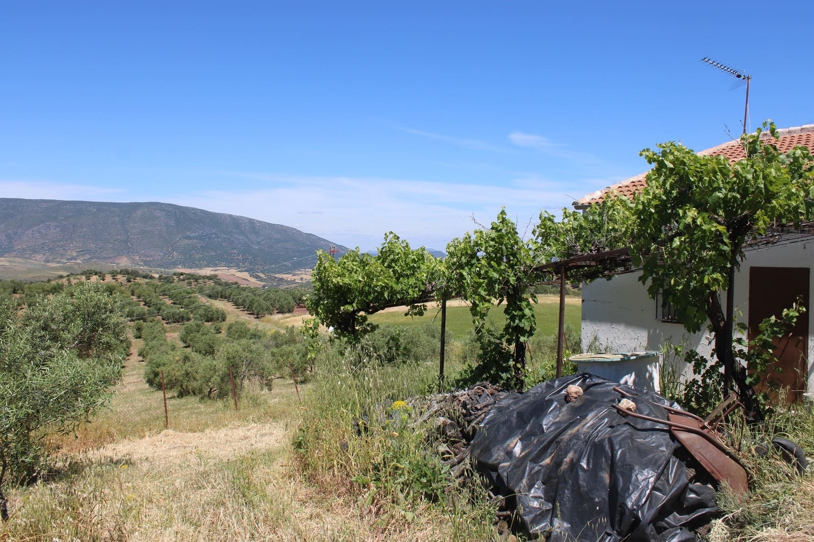 2 soveværelse Finca/Landehus til salg i El Gastor - € 165.000 (Ref: 8940191)