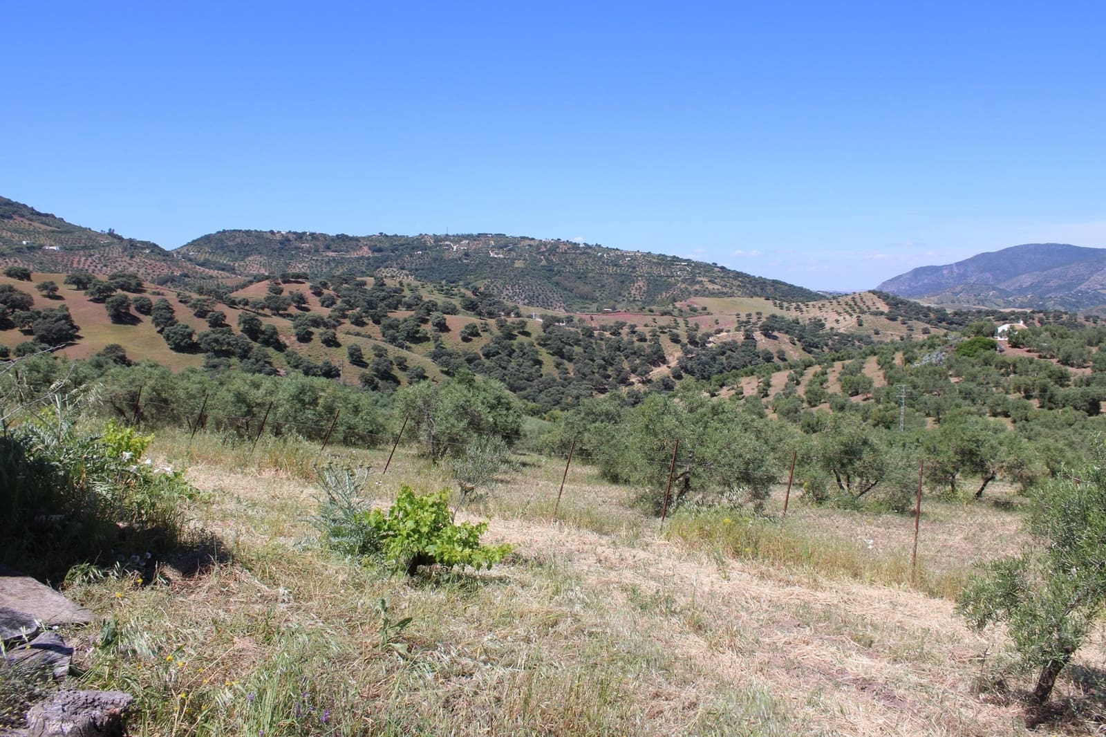 2 soveværelse Finca/Landehus til salg i El Gastor - € 165.000 (Ref: 8940191)