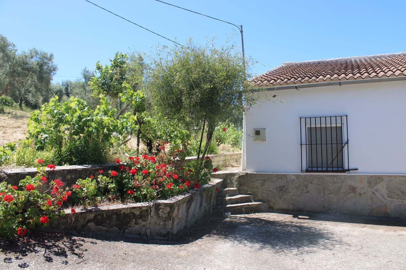 2 soveværelse Finca/Landehus til salg i El Gastor - € 165.000 (Ref: 8940191)