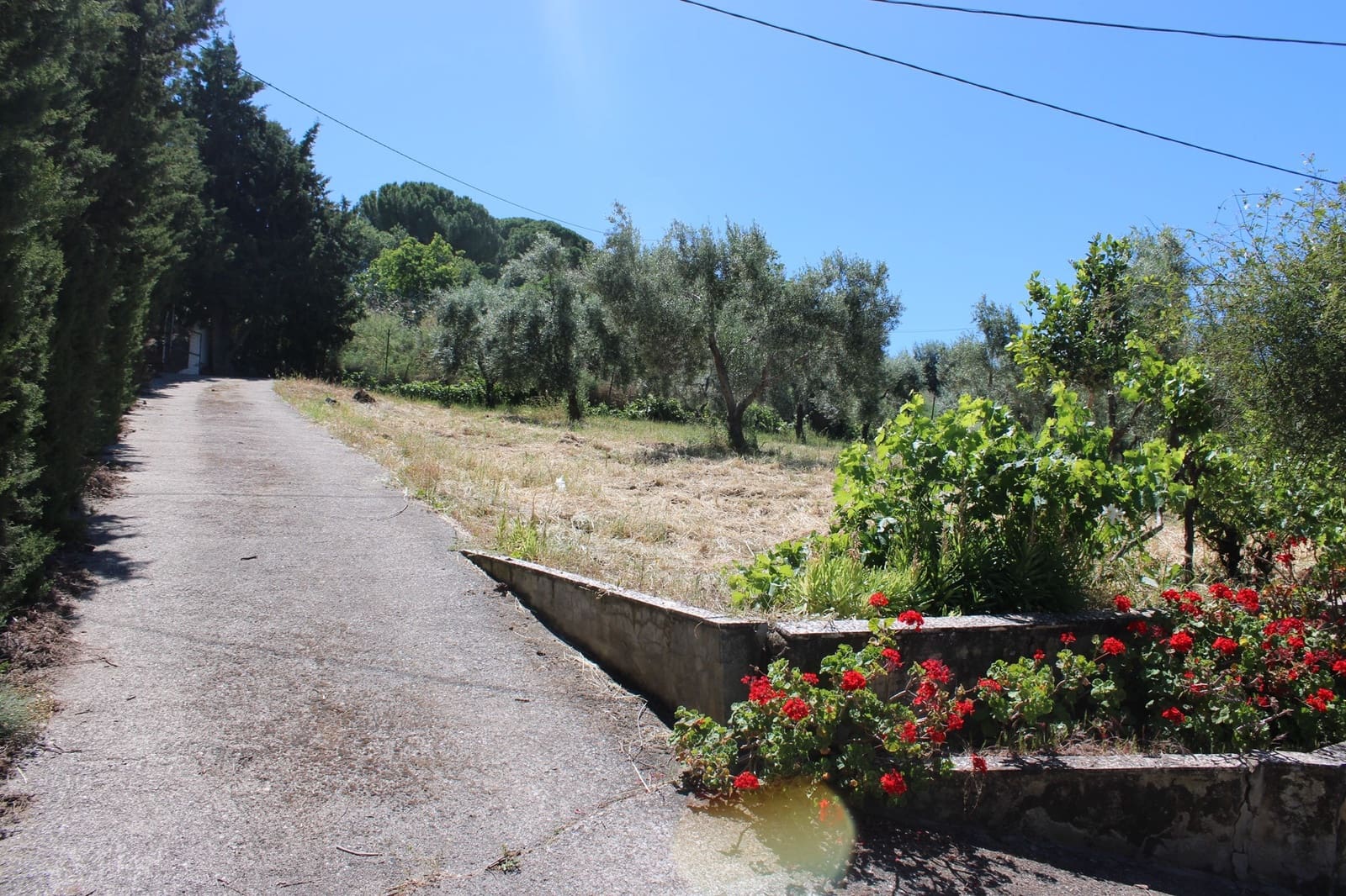 2 soveværelse Finca/Landehus til salg i El Gastor - € 165.000 (Ref: 8940191)