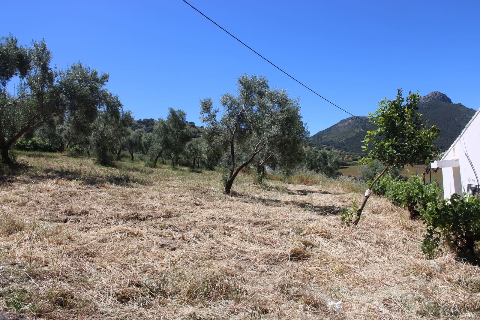 2 soveværelse Finca/Landehus til salg i El Gastor - € 165.000 (Ref: 8940191)